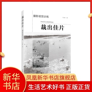 裁出佳片 摄影视觉训练 丁允衍 影视剪辑初学者基础入门教程书籍照片裁剪摄影构图法则裁切方法 案例分析 凤凰新华书店旗舰店