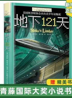 正版长青藤 大奖小说系列:地下121天 霍尔曼儿童文学故事书9-12-15岁四五六年级中小学生课外书籍青少年阅读物少儿励志图书