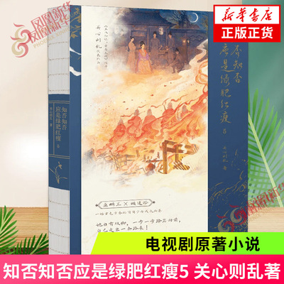 知否知否应是绿肥红瘦5 关心则乱著 电视剧原著小说 古装青春文学女性励志读物 古言宅斗 新华正版书籍