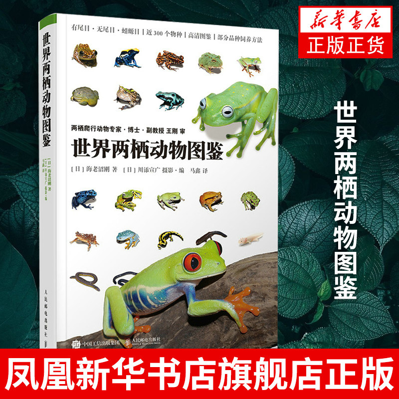 世界两栖动物图鉴 海老沼刚 两栖动物 爬行动物鉴赏饲养指南 近300个物种的图文资料 人民邮电出版社凤凰新华书店旗舰店