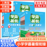 2026秋小学学霸学霸暑假衔接小学生暑假作业本一升二升三升四升五六语文阅读集训预科班课堂笔记数学计算思维题大通关总复习预习书