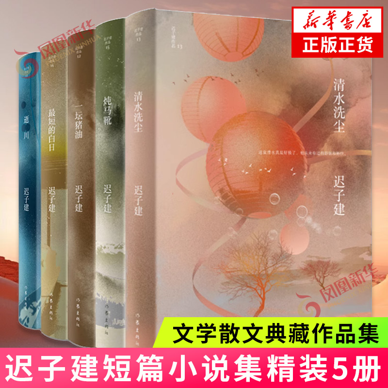 迟子建短篇小说集精装5册 一坛猪油+炖马靴+清水洗尘+最短的白日+逝川茅盾 鲁迅文学奖 世界上所有的夜晚额尔古纳河右作者文学散文