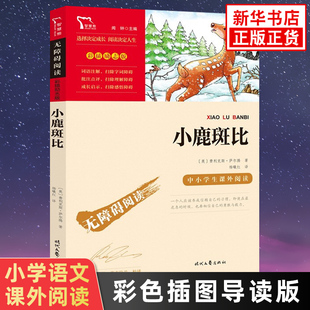 智慧熊儿童文学故事书 小鹿斑比 彩色插图导读版 小学生语文三四五六年级拓展阅读书目 读物课外书 凤凰新华小学三四五六年级正版