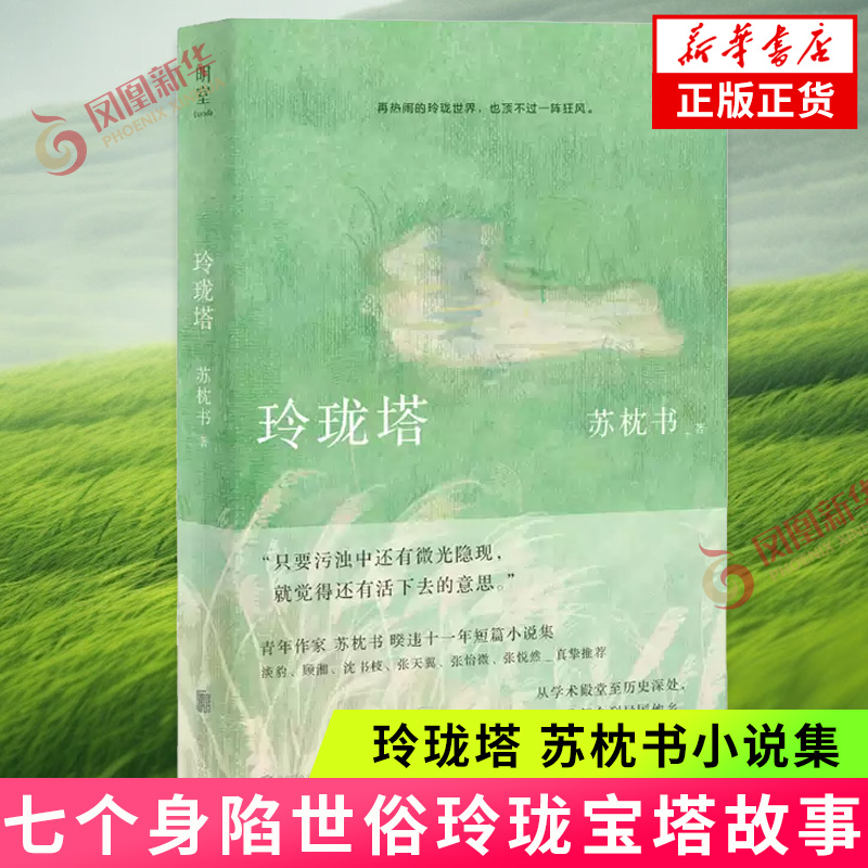 玲珑塔 苏枕书小说集 七个身陷世俗玲珑宝塔故事 深描知识女性的精神探索与生活图景 女性励志现当代散文随笔 新华书店正版