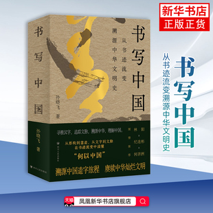 书写中国：从书迹流变溯源中华文明史孙晓飞著艺术理论（新）四川人民出版社凤凰新华书店旗舰店