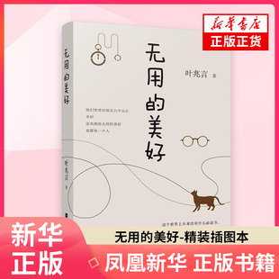 无用的美好 精装插图本 叶兆言著 观照世道人心的苍凉与热烈洞察痛与善的人间 江苏凤凰文艺出版社 现当代文学散文随笔书 正版