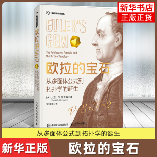 欧拉的宝石 从多面体公式到拓扑学的诞生 人民邮电出版社 数学科普读物 正版书籍 【凤凰新华书店官方旗舰店】
