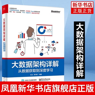 从数据获取到深度学习 大数据架构详解 大数据处理与开发技术Spark原理与应用 大数据分析 hadoop大数据实战开发教程书