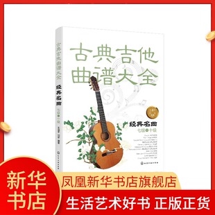 古典吉他曲谱大全 经典名曲 七八九十级 吉他考级教材 古典吉他教材曲谱 吉他练习曲独奏谱 古典吉他入门自学教程 新华书店正版