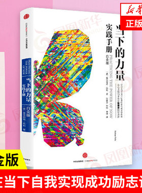 当下力量实践手册白金版中信