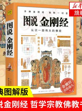 图说金刚经施青石哲学书籍