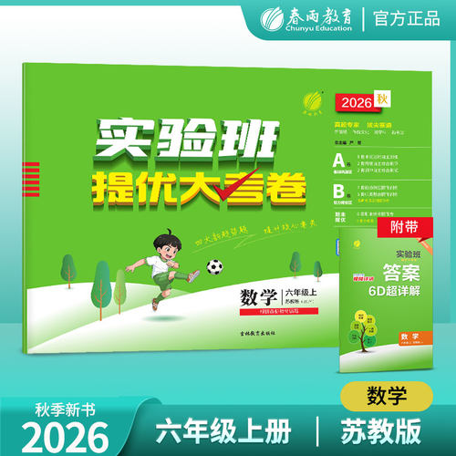 2025实验班提优大考卷