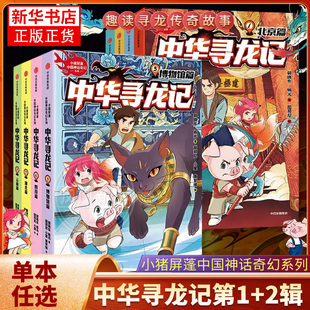 中华寻龙记第一辑+第二辑 全8册 小猪屏蓬了解名胜古迹背后的传统文化知识 聆听千百年前的中华神龙传说7-14岁儿童文学中信出版社