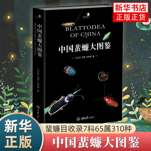 中国蜚蠊大图鉴 古老的昆虫 蟑螂和白蚁 国内第y本系统介绍我国蜚蠊目昆虫的彩色大图鉴收录蜚蠊目 7 科 65 属 310 种