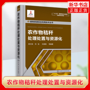 焚烧环境污染治理管理 秸秆制沼气技术 秸秆泥生产加工技术书籍 秸秆还田饲料能源化利用技术解析书 农作物秸秆处理处置与资源化
