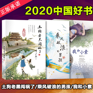 乘风破浪的男孩+土狗老黑闯祸了+我和小素套装3册6-12岁小学生一二三四五六年级学生课外阅读书籍儿童文学读物凤凰新华书店旗舰店