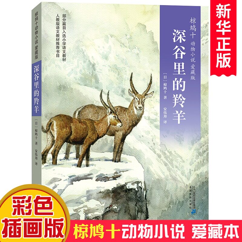 彩色升级版 椋鸠十动物小说爱藏本5 深谷里的羚羊 11-14岁小学生课外阅读书籍插画本日本作家童话故事文学小说 青少年儿童书