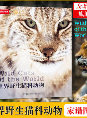 世界野生猫科动物 猫盟CFCA  猫科动物百科全书 野生动物艺术家手绘 世界野生猫科动物的特征习性行为
