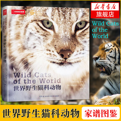 世界野生猫科动物 猫盟CFCA  猫科动物百科全书 野生动物艺术家手绘 世界野生猫科动物的特征习性行为