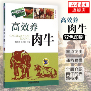 高效养肉牛 畜牧牛肉 魏刚才 肉牛养殖技术书籍 养牛技术大全书籍 科学饲养肉牛 繁殖病害防治 健康养殖 凤凰新华书店旗舰店