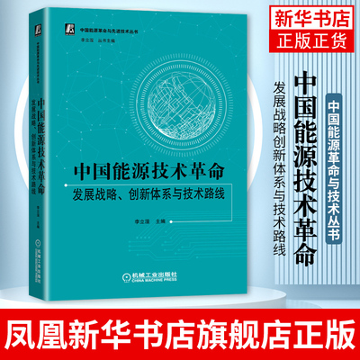 中国能源技术革命：发展战略创新体系与技术路线 李立浧 中国能源革命与技术丛书 机械工业出版社【凤凰新华书店旗舰店】