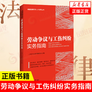 【正版】劳动争议与工伤纠纷实务指南 上海丰兆律所 劳动争议纠纷典型案例劳动仲裁诉讼处理技巧及风险防范 劳动合同 劳务派遣