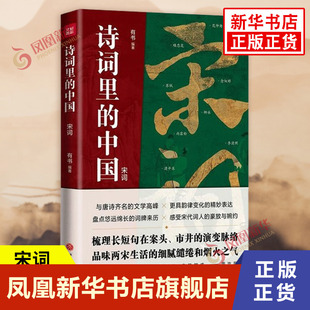诗词里的中国 宋词 理清词牌的来龙去脉 感受中国文字间蕴含的音律之美 天地出版社 正版图书籍 凤凰新华书店旗舰店 中国古代诗词