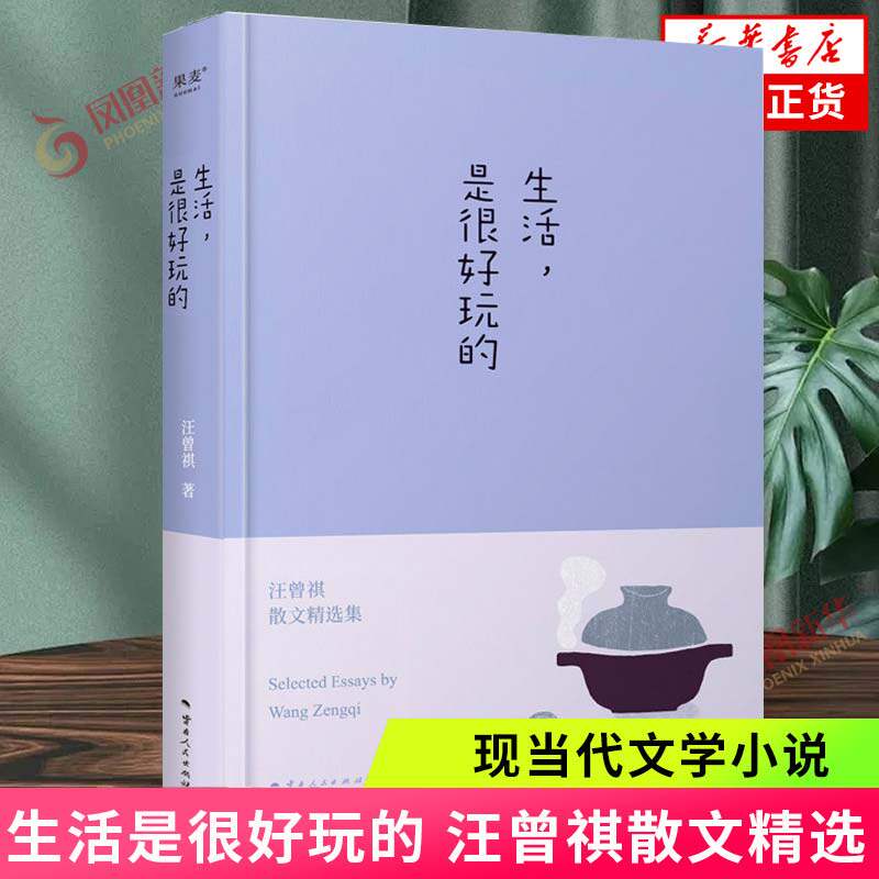 生活是很好玩的 汪曾祺散文精选集 精装 一册囊括读汪曾祺 发现生活之美 沈从文 现当代青春文学散文随笔集  新华正版