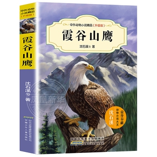 霞谷山鹰 中外动物小说升级版第二辑 猎犬之魂霞谷山鹰绝境血狼系列中沈石溪等著 6-7-8-9-10-12-15岁儿童文学励志图书籍 正版