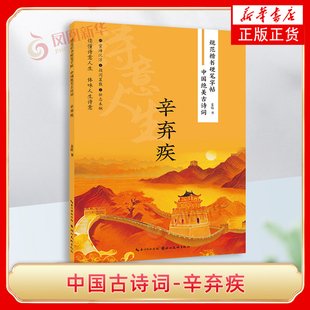 中国绝美古诗词-辛弃疾 姜浩 湖北美术出版社 艺术 书法/篆刻 字帖 新华正版书籍