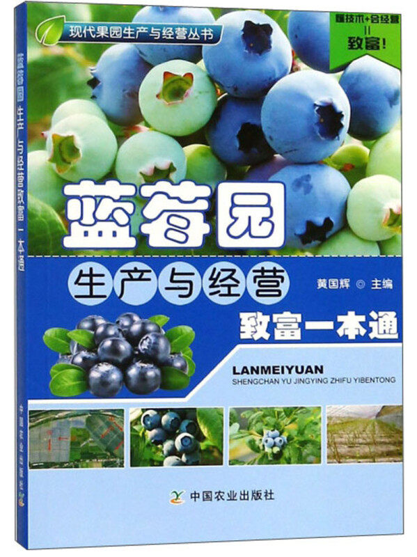 蓝莓园生产与经营致富一本通 蓝莓苗木繁育栽培种植 扦插繁殖 苗圃地选择划分 组织培养繁殖技术果树整形修剪病虫害防治果园管理书怎么看?