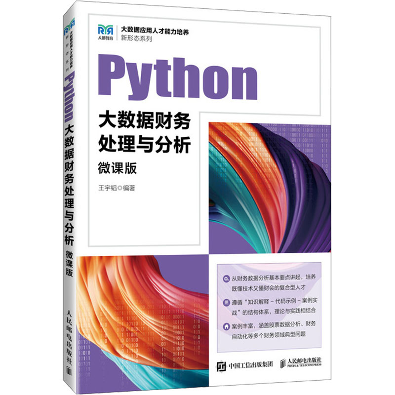 Python大数据财务处理与分析（微课版）王宇韬 人民邮电出版社 计算机理论 新华正版书籍