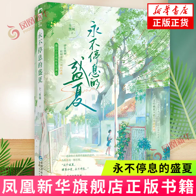 永不停息的盛夏 十二里闲 贵州人民出版社 青春校园文学小说 新华正版书籍