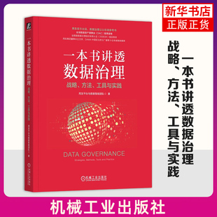 一本书讲透数据治理：战略、方法、工具与实践（平装） 用友平台与数据智能团队 机械工业出版社 新华正版