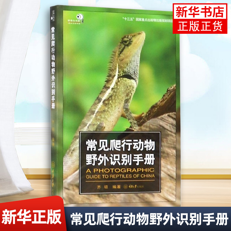 常见爬行动物野外识别手册 好奇心书系 野外识别手册齐硕著 爬行动物特征参考图 爬行动物的形态特征 爬行动物栖息环境和分布范围