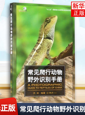 常见爬行动物野外识别手册 好奇心书系 野外识别手册齐硕著 爬行动物特征参考图 爬行动物的形态特征 爬行动物栖息环境和分布范围
