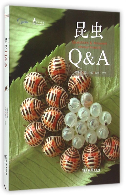 [Xinhua Bookstore Flagship store Official website Insect Q & A Nature Observation insect author Teenagers Sincerity Deep and Entomology introduction Cover Entomology content knowledgein the Books/Magazine/Newspaper , Natural science , Popular science books , Insect  category - from Buy2taobao.com to provide professional Taobao agent buy service