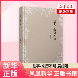 往事•来历不明 展翅著 长江文艺出版社 新华正版书籍