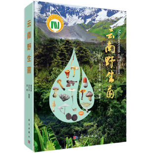 云南野生菌 真菌囊菌擔子菌原生境彩圖特征描述生境分布及生態經濟價值形態特征 新華正版 書籍 楊祝良