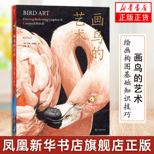 英国艺术家艾伦伍利特鸟类绘画艺术 画鸟 画材使用方法素材收集描绘创作过程图解 绘画构图基础知识技巧书籍 后浪 艺术