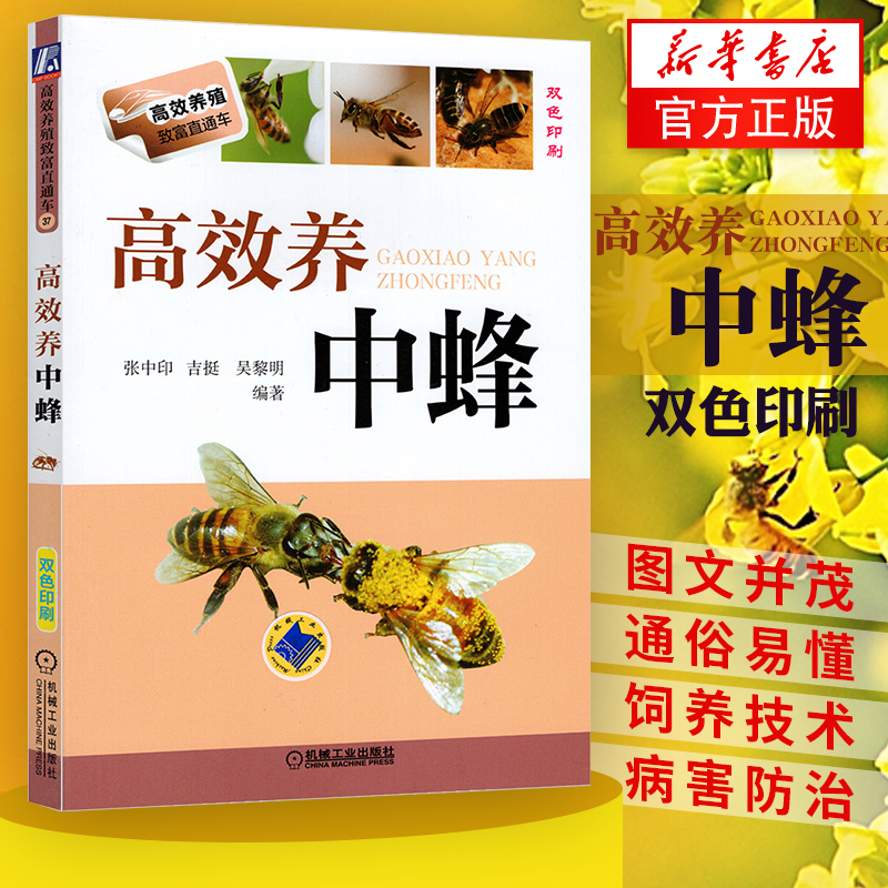 正版 高效养中蜂 蜜蜂养殖技术书籍 养蜂书 养蜂书籍实用手册 中华蜂土蜂中蜂饲养新技术书【新华书店官方正版】农业科学养殖技术 书籍/杂志/报纸 畜牧/养殖 原图主图