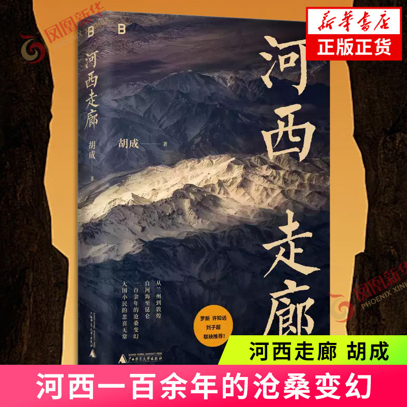 河西走廊 胡成 著 文津奖提名作者 单向街书店文学奖得主胡成作品 河西一百余年的沧桑变幻大国小民的悲喜无常 凤凰新华书店旗舰店