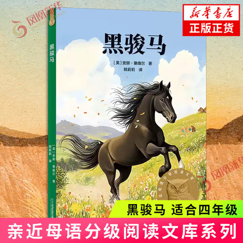 黑骏马 亲近母语分级阅读文库 L4适合四年级 贴合孩子成长认知 小学生课外读物 儿童文学校园成长小说 凤凰新华书店正版