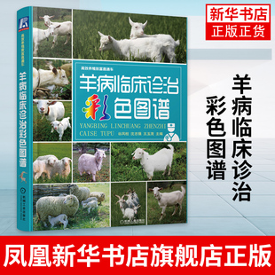 羊病临床诊治彩色图谱 谷风柱 对病毒病细菌病寄生虫病和普通病发病原因剖检变化诊断要点和防治措施进行阐述【新华书店正版书籍】