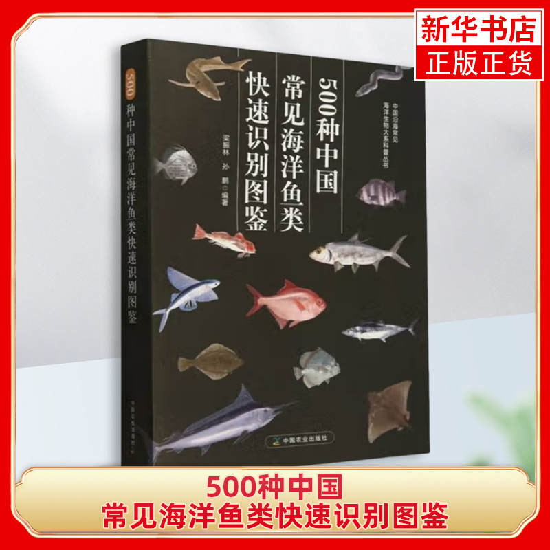 500种中国常见海洋鱼类快速识别图鉴梁振林动物中国农业出版社凤凰新华书店旗舰店