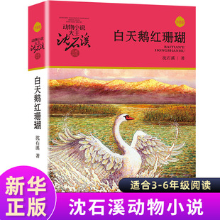 沈石溪动物小说单本白天鹅红珊瑚 正版 17岁四五六年级儿童长篇文学少儿课外书读物 彩色插图本品藏书系列全套9