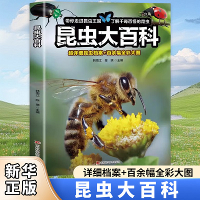 昆虫大百科 昆虫百科全书书籍幼儿绘本认识虫子蝴蝶知识小百科虫虫书大全科普认知儿童版关于昆虫的书图片图鉴小学生大百科昆虫记