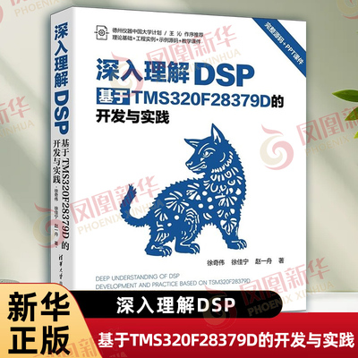 深入理解DSP 基于TMS320F28379D的开发与实践 徐奇伟 徐佳宁 赵一舟 著 详细描述了控制域和通信域中中常用的外设和接口 新华正版