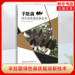 农业种植养殖技术 蘑菇种植 蔬菜园艺书籍 羊肚菌绿色高优栽培新技术 农作物高产 书籍 家庭种植栽培 肥料病虫害防治 正版