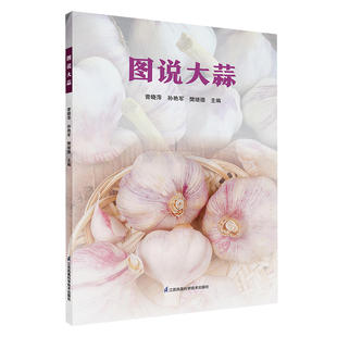 图说大蒜 曾晓萍 介绍大蒜全球生产概况 阐述大蒜栽培基础知识 江苏凤凰科学技术出版社 新华正版书籍